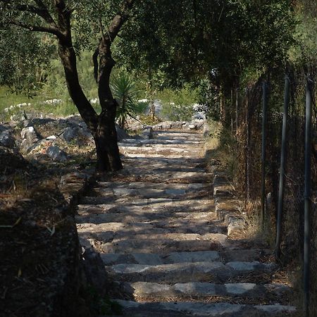 Vista Petros Daire Apraos Dış mekan fotoğraf